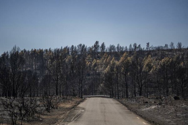 Compromís reclama la paralización de la MAT que atraviesa el incendio de Bejís