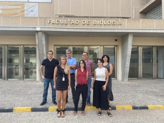 Investigadores murcianos desentrañan en peces cebra los efectos de la proteína que contagia el covid

