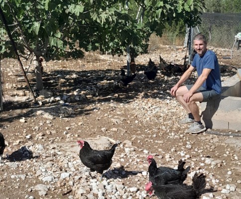 Soneja potencia el hábito de la alimentación saludable con la producción de huevos camperos  