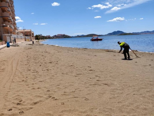 El Mar Menor empeora ligeramente sus constantes vitales: crece el nivel de clorofila y desciende el de oxígeno
