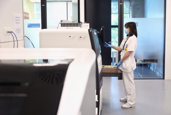 Los seis nuevos casos de viruela del mono elevan a 499 los afectados en la Comunitat, 185 en Alicante