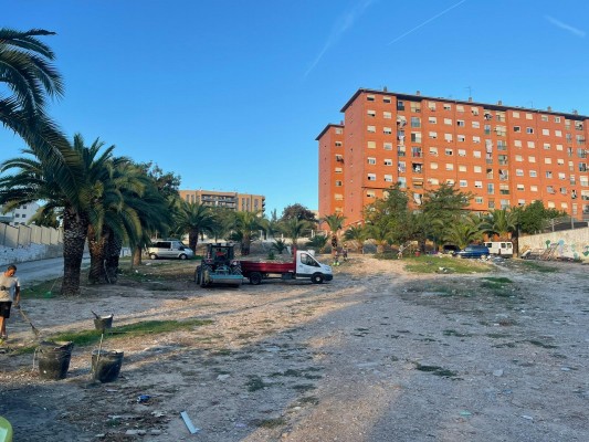 El Ayuntamiento de Paterna retira más de 11 toneladas de basura y escombros en La Coma 
