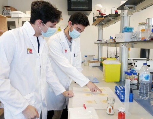 Freeshakes, de la UMH, participa en el programa Food Tech Challengers