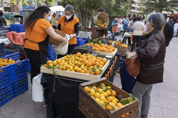 Castelló abre el plazo para participar en una nueva edición de la Fira de la Taronja