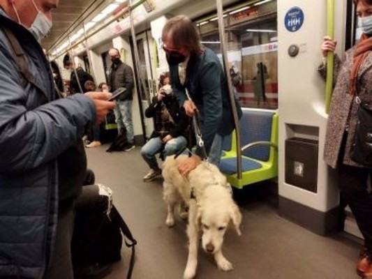 FGV implantará en el Tram el sistema de guiado Navilens para personas con discapacidad visual