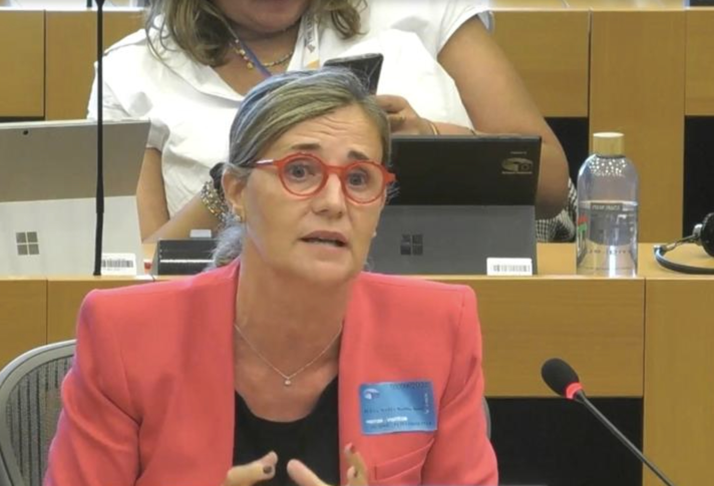 Elena Bastidas (PPCV), en la Comisión de Peticiones. Foto: PPCV - 