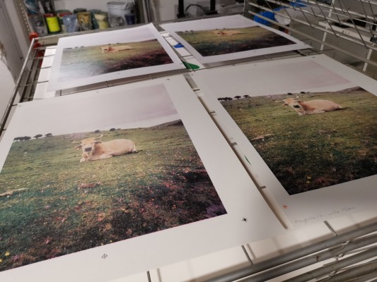 Lanevera Gallery reúne a Lawerta, Jotaká o Fátima Bravo

