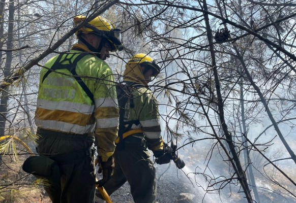 Estabilizado el incendio forestal de Cortes de Arenoso