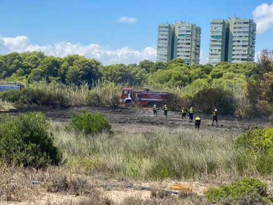 Sofocado el incendio forestal declarado entre La Casba y Les Gavines de El Saler