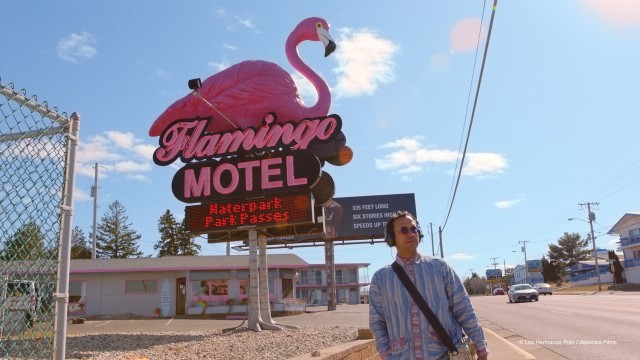 'The Mystery of the Pink Flamingo': entre la realitat i la ficció, l’autenticitat