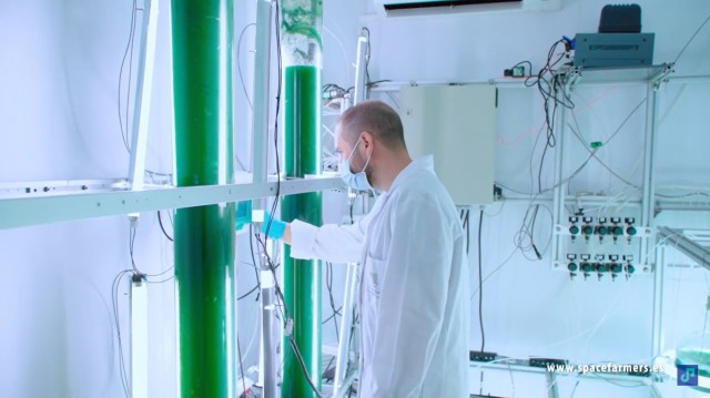 Space Farmers abre líneas de I+D con microalgas y su planta para espirulina en Elche espera inversor 