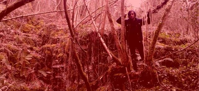 'Anti-lista' de éxitos musicales 2016: los mejores entre los olvidados