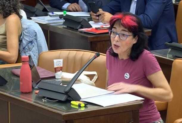 Saavedra (UP) defensa que s'afavorisca la flota artesanal i la cogestió en la Llei de Pesca sostenible