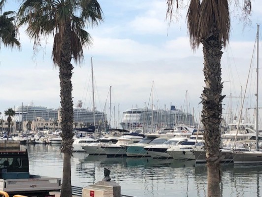 Dos navieras y un touroperador visitan Alicante para conocer la oferta para los cruceristas 