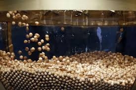 El 4.536, agraciado con el segundo premio, cae por toda España y en 22 localidades de la Comunitat