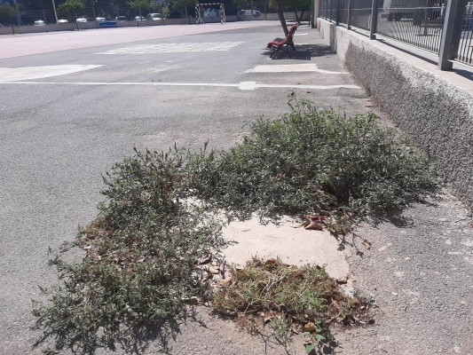 Bronca por los colegios de Alicante: la oposición critica deficiencias; Barcala pide fondos del Consell 