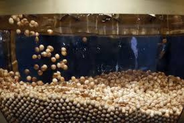 El 4.536, segundo premio, cae en Alicante, Alfàs, Benidorm, Torrevieja, Orihuela y San Vicente 