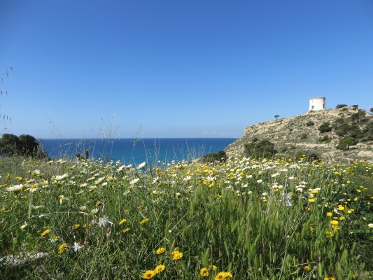 La ciencia mediterránea se exhibe este mes en varios países del Mare Nostrum


