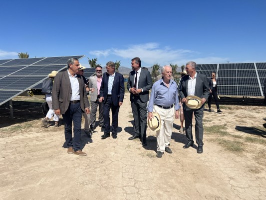 La Cooperativa Eléctrica de Catral ya produce una quinta parte de la energía de sus abonados