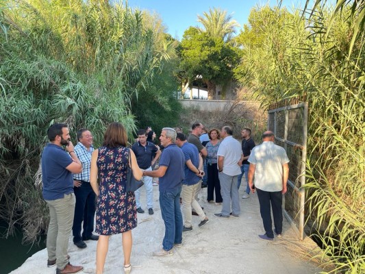 Los alcaldes del PP en la Vega Baja piden una limpieza urgente del cauce del Segura