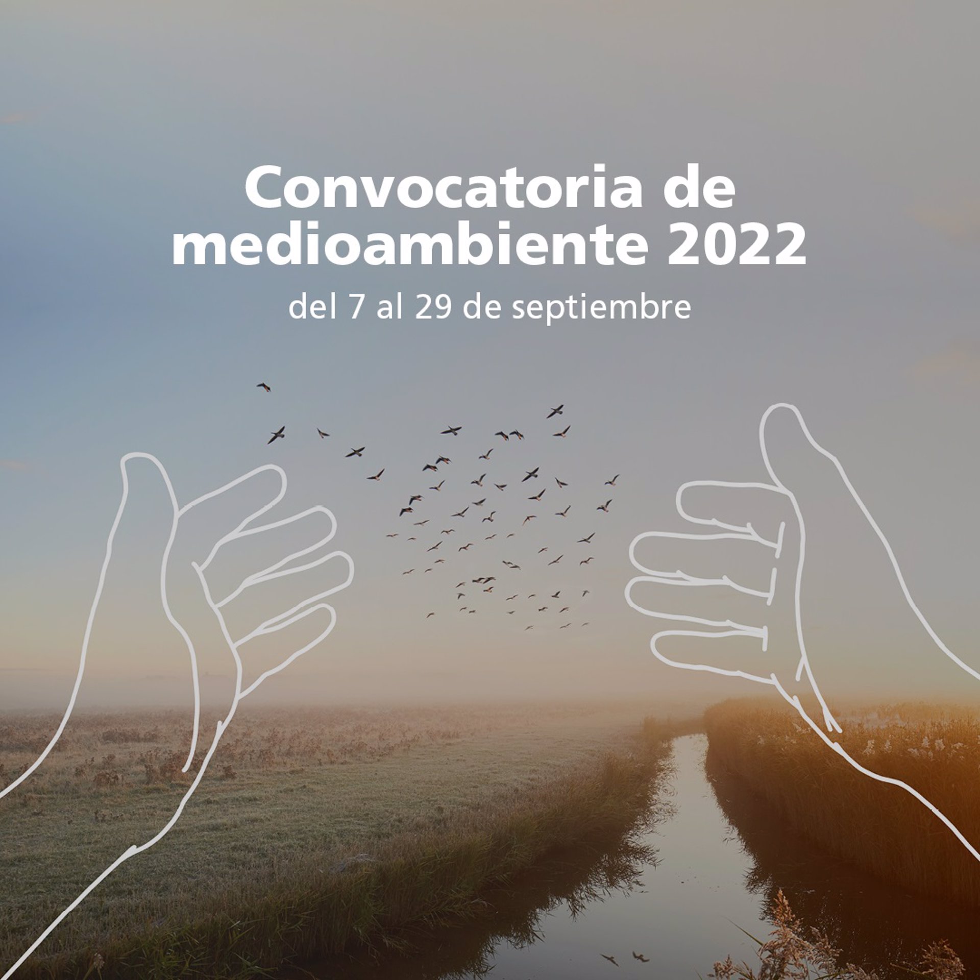 CaixaBank y Fundació Caixa Castelló convocan ayudas por 30.000 euros para proyectos medioambientales