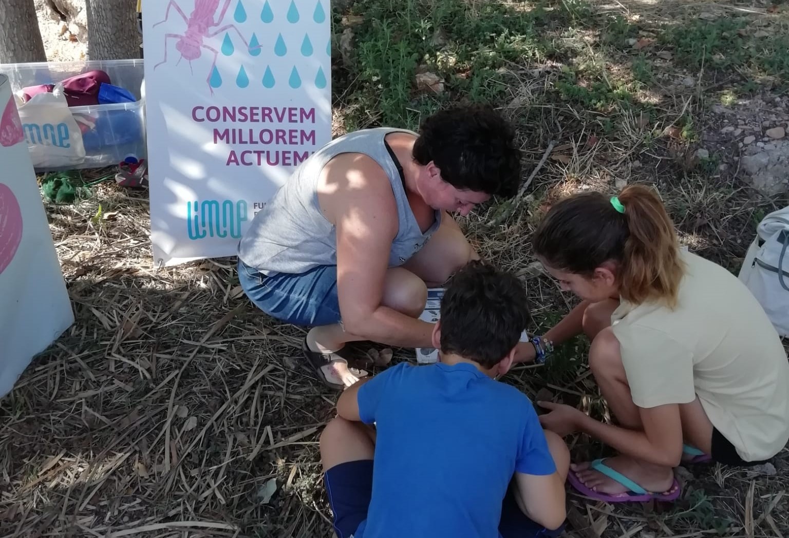 
Transición Ecológica congrega a 550 asistentes en los talleres de verano de educación ambiental