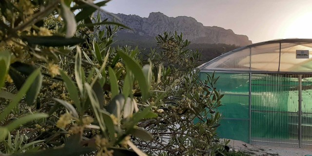 La impulsora de la startup Aitana Espirulina participará en el 'Team Up' de EIT Food Europe