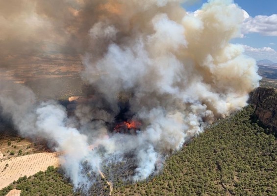Extinguido seis días después el incendio forestal de Sierra Larga, en Jumilla: 410 hectáreas calcinadas