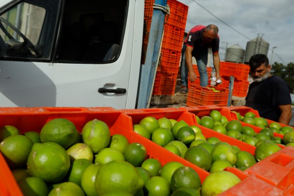 UPA Murcia señala que el alza de los precios no repercute en mayores beneficios para los agricultores