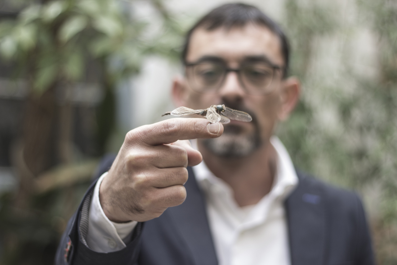 El selfiematón de Juan Carlos Iñesta