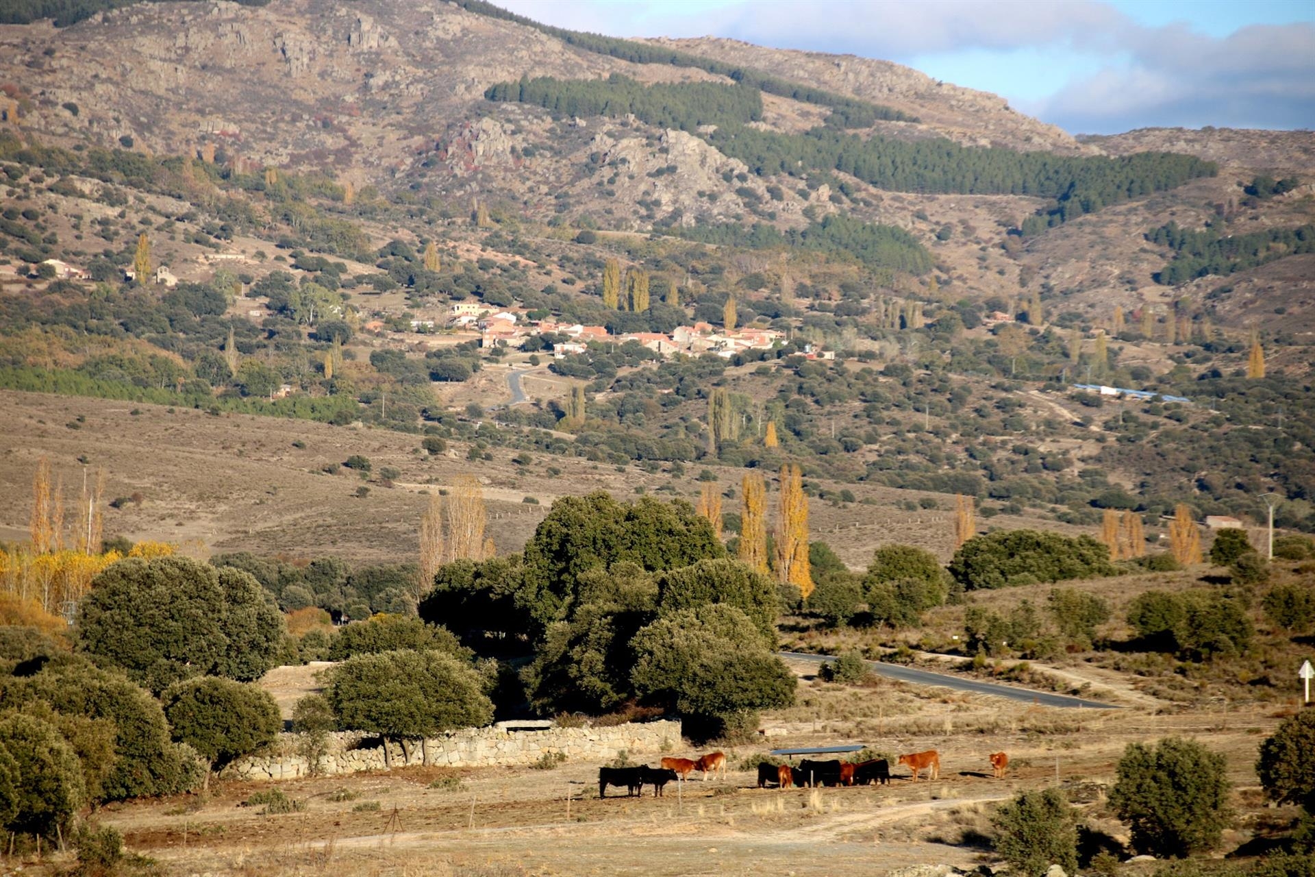 Mas no descarta mejoras en el anteproyecto de ley contra la despoblación tras los últimos incendios