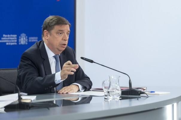 María José Hernández, nombrada presidenta del Fondo Español de Garantía Agraria (FEGA)