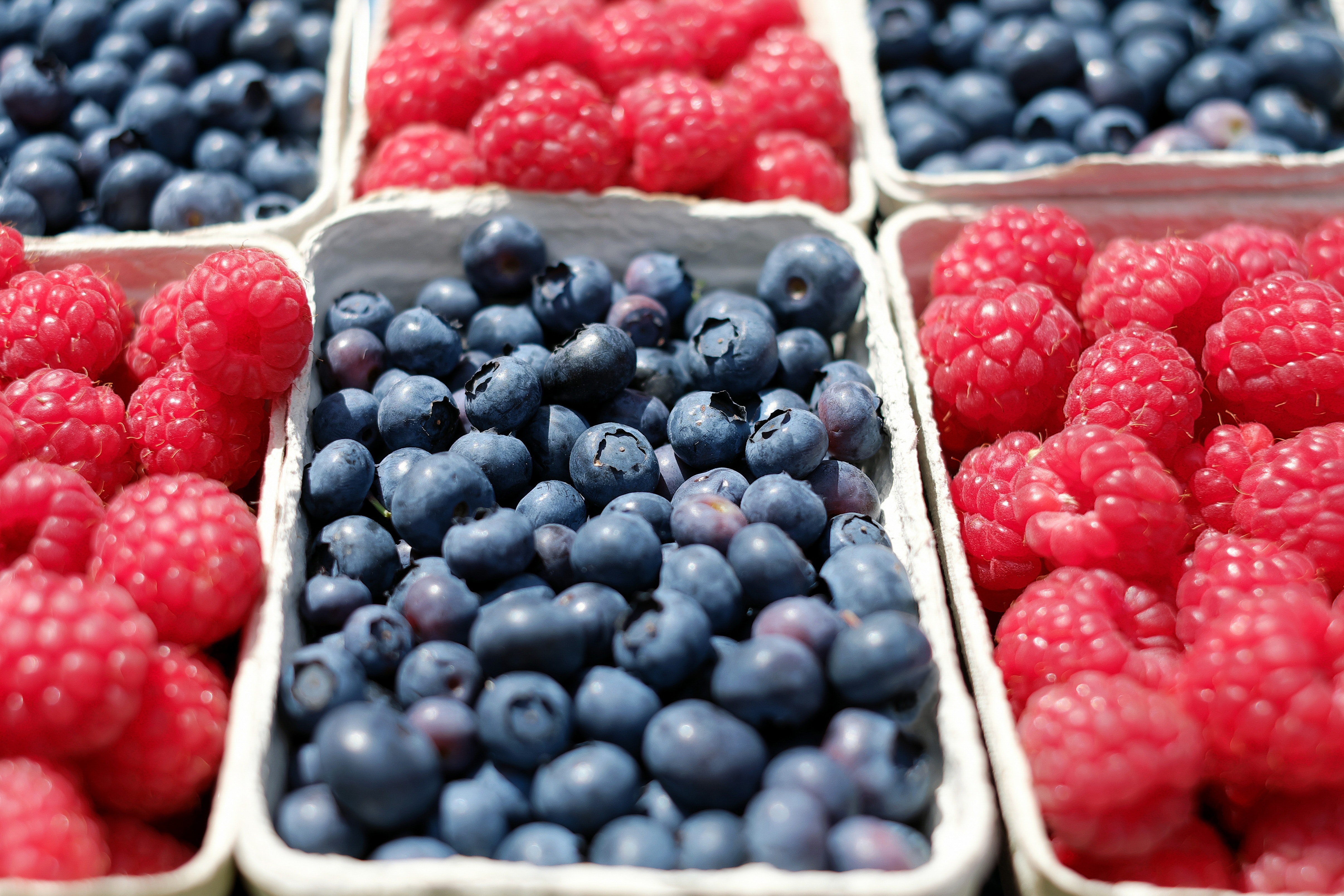 Retiran tres lotes de frutas del bosque congeladas por estar infectadas con el virus de la hepatitis A
