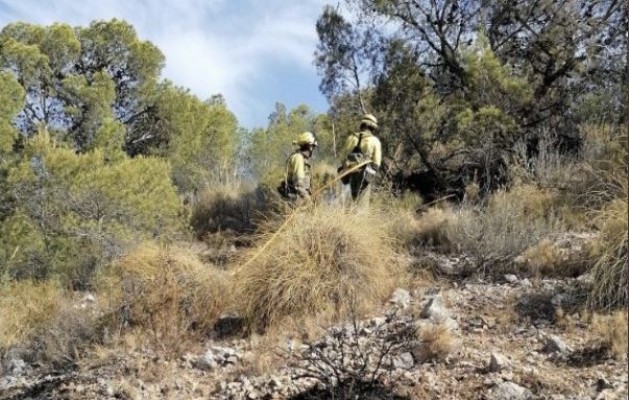 El incendio forestal de Jumilla continúa estable y hay 50 efectivos trabajando en la zona
