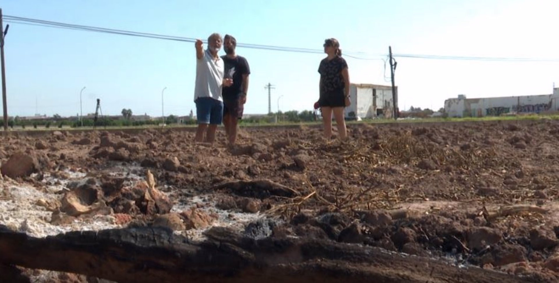 Una familia valenciana quema sus campos de naranjos por la 