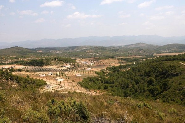 Agricultura crea el distintivo 'Producto Stop al Foc' para promocionar los cultivos y mantener la actividad
