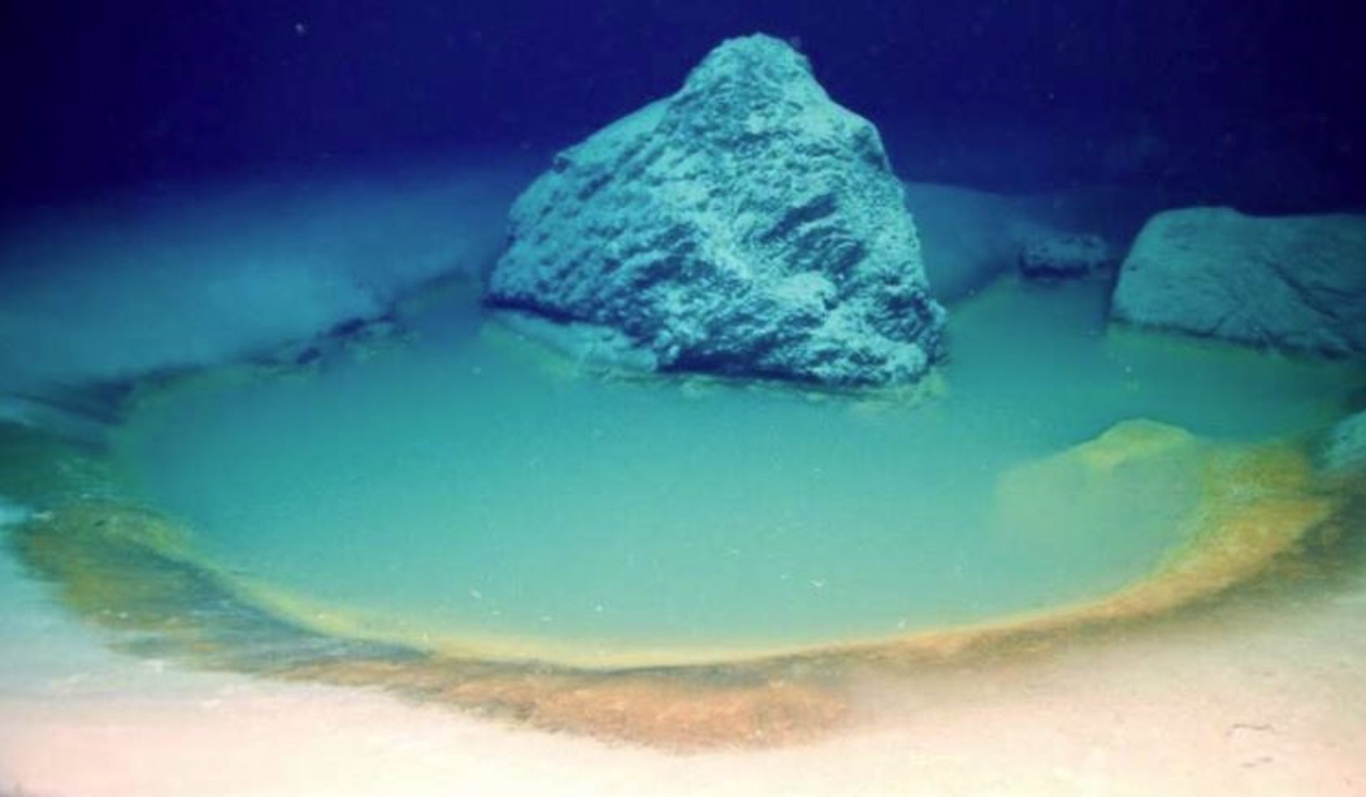 Foto: UNIVERSITY OF MIAMI/ARCHIVO - 