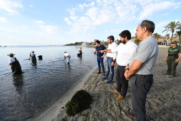 Miras reivindica la labor del Gobierno regional tras la retirada de 17.274 toneladas de biomasa en el Mar Menor