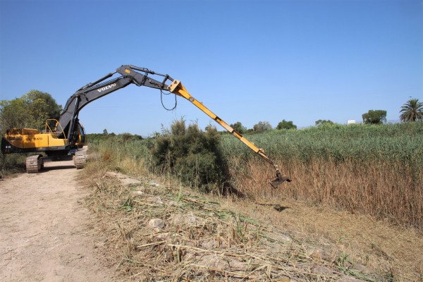 La CHS inicia los trabajos de desbroce del cauce del río Segura entre Rojales y Guardamar 
