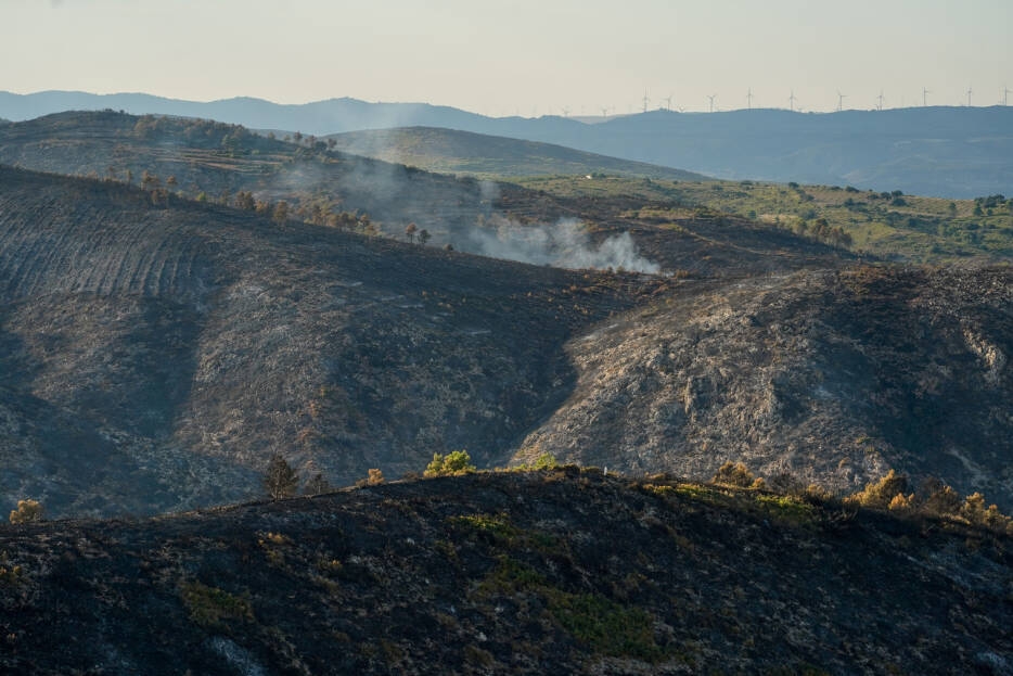 Foto: Eduardo Manzana - 