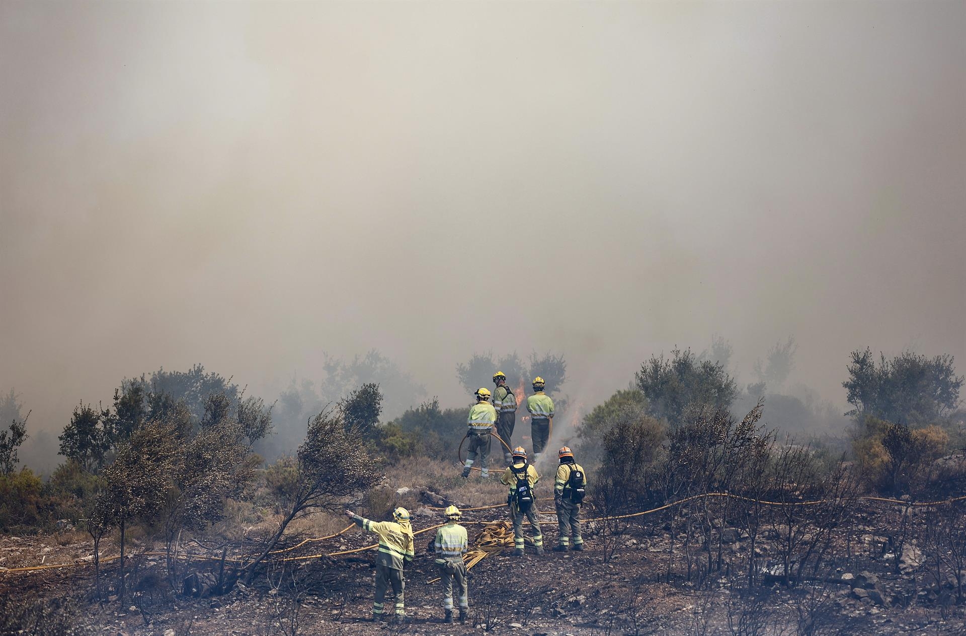 El Consell pedirá al Gobierno recursos específicos de la UE para los planes de recuperación tras los incendios