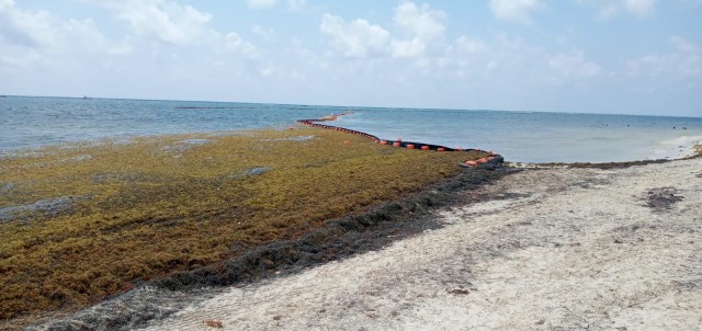 Sueca y Costas buscan soluciones al problema de la desembocadura de las acequias en el mar