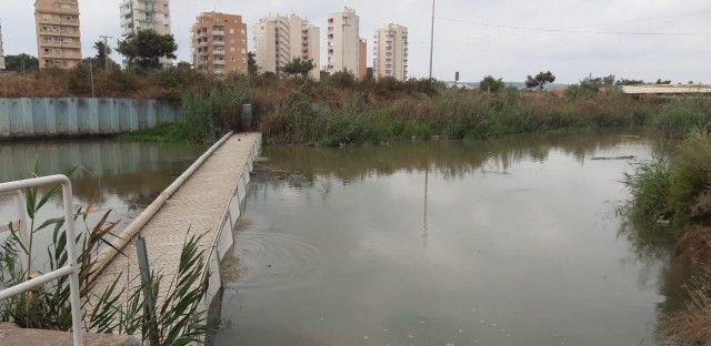 La CHS finaliza la reja autolimpiable para evitar residuos en la desembocadura en Guardamar