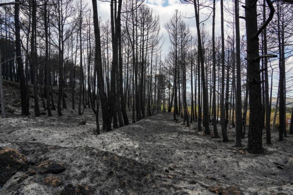 El incendio de Bejís evoluciona favorablemente sin rebrotes ni puntos calientes
