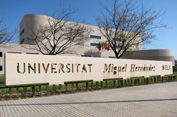 La UMH es la universidad pública que más empresas crea por cada 100 docentes