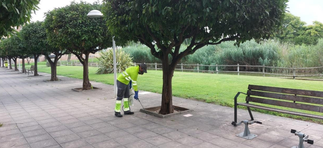 Acciones contra las plagas en el municipio. Foto: Ajuntament de Catarroja - 