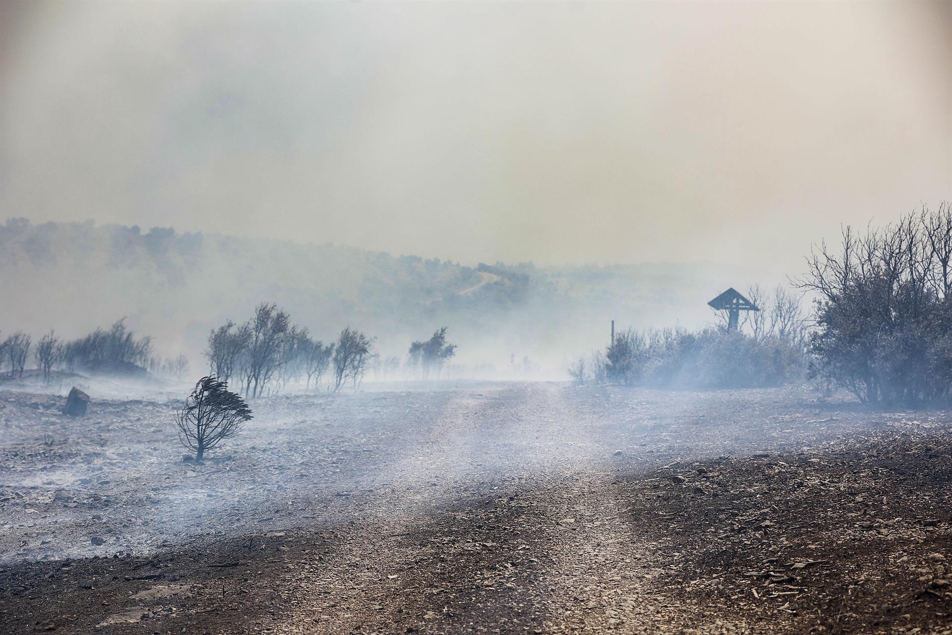 El Consell aprobará el martes las primeras ayudas para los municipios afectados por los incendios