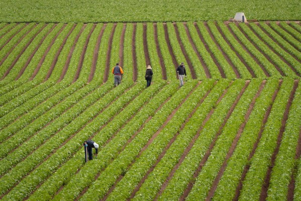 El campo de la Región se prepara para un 'otoño caliente': 