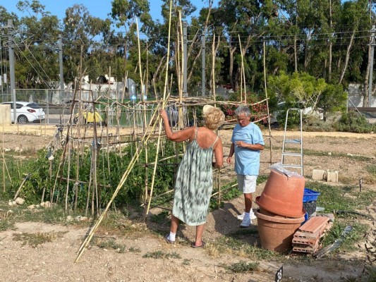 La Diputación subvenciona con 2.400 euros el funcionamiento del huerto urbano de El Campello