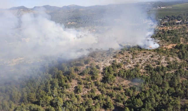 Extinguido el incendio de Olocau tras quemar 3,9 hectáreas
